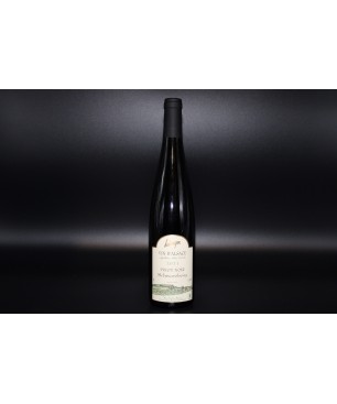 Pinot Noir Schwarzberg 2021
