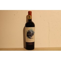 Sidéral DO Valle Del Cachapoal 2021